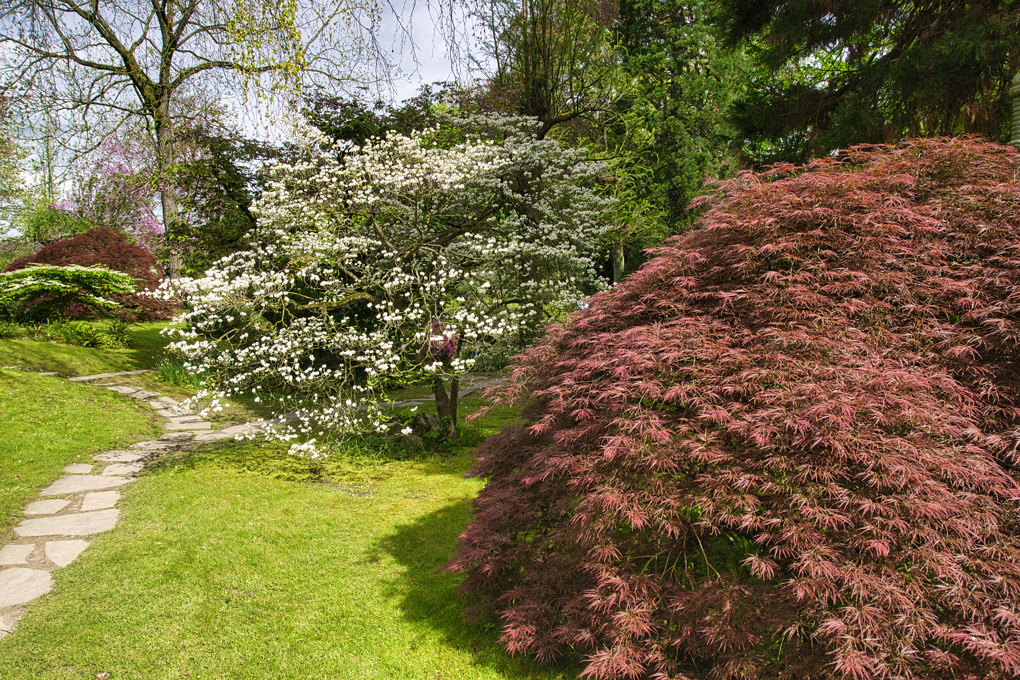 JapGartenLeverkusen 3